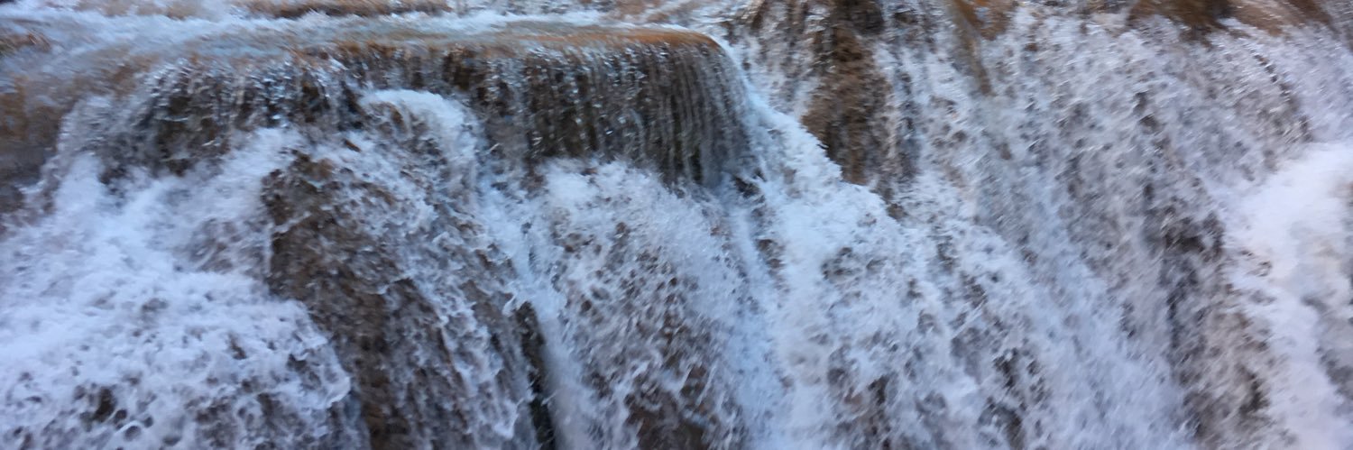 Willdobbs's profile banner image