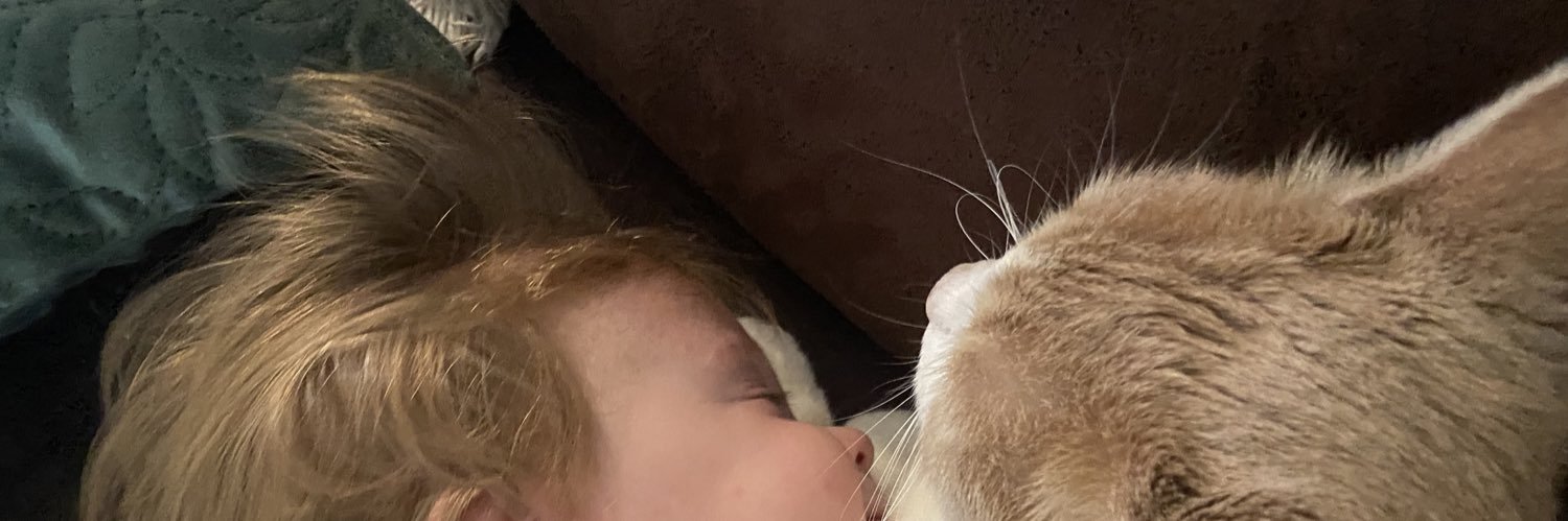 amelie_brb's profile banner image