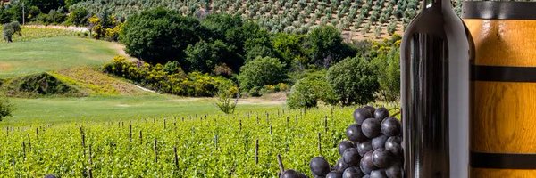 AlVuona Profile Banner