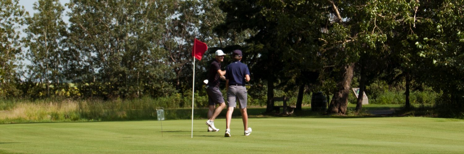 FortInViewGolf's profile banner image