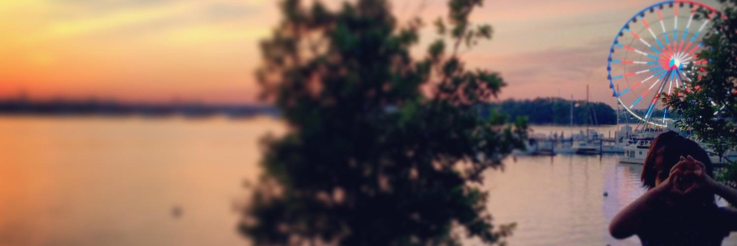 MadaAlghamdi's profile banner image