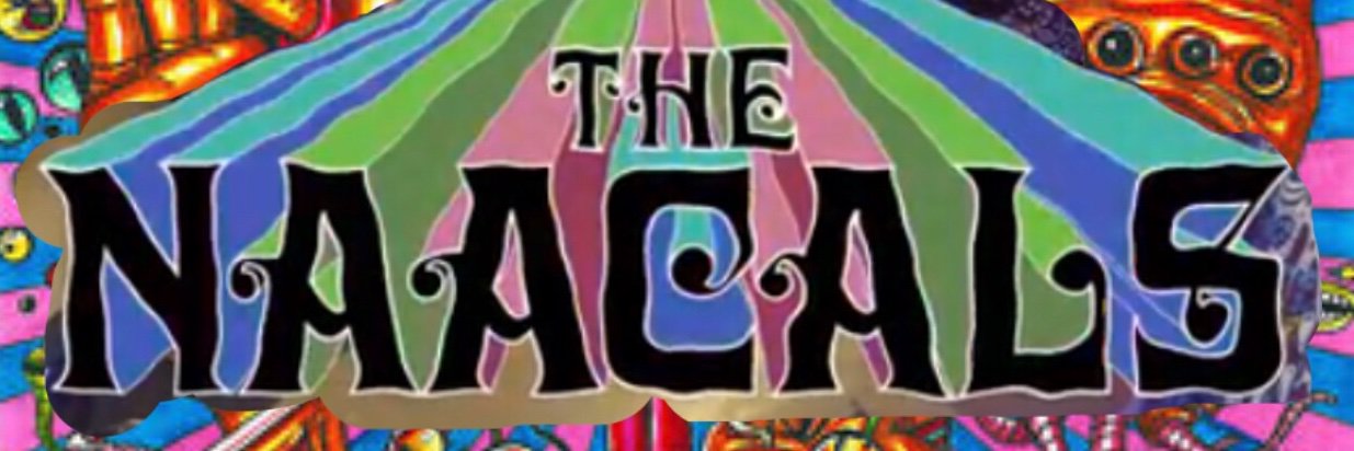 TheNaacals's profile banner image