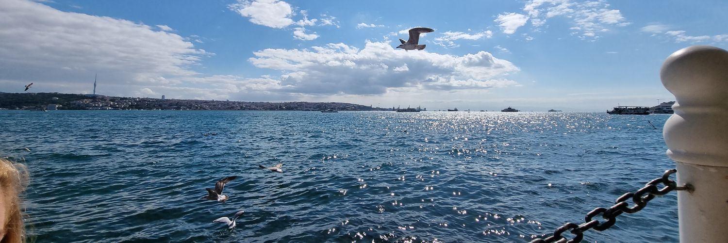 ghadadimashk's profile banner image
