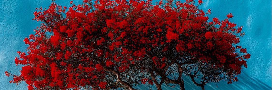 derek_730's profile banner image