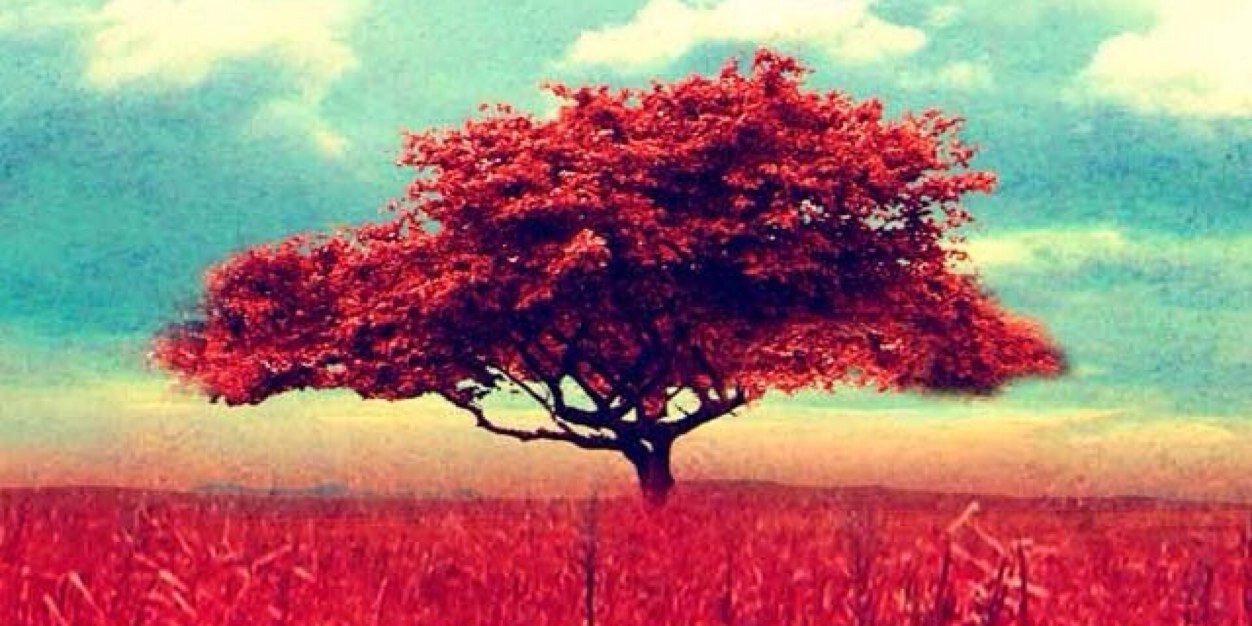 LaiaPages1's profile banner image