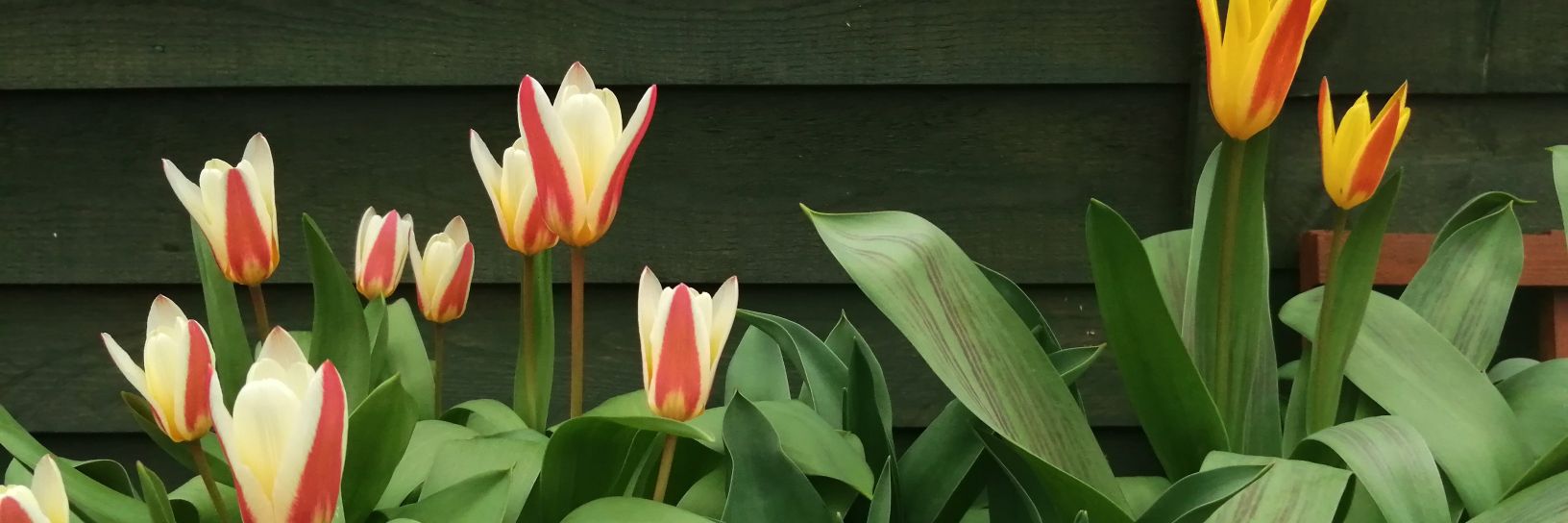 Chantalmalan09's profile banner image