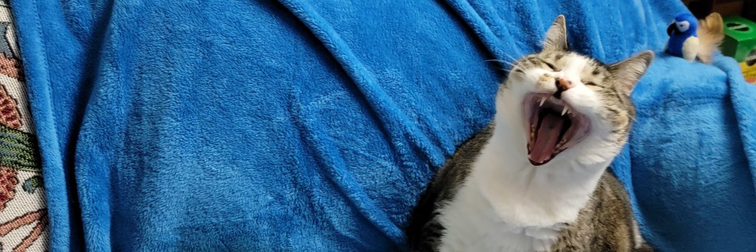 catsmacktalk's profile banner image