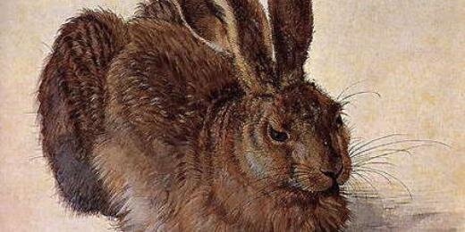 BunnyCrew's profile banner image