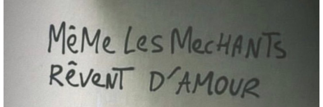 LagrangeCamille's profile banner image