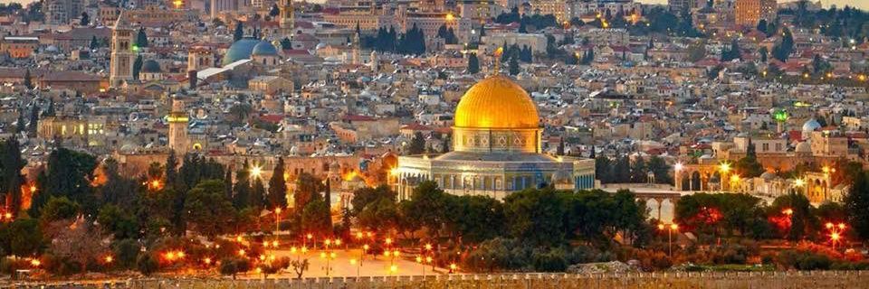 Mohamad Fakhro - محمد فخرو 🇵🇸 banner