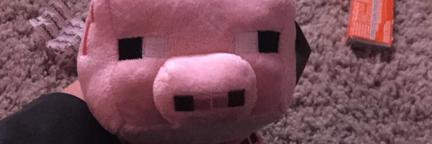 Sp1Dylan's profile banner image