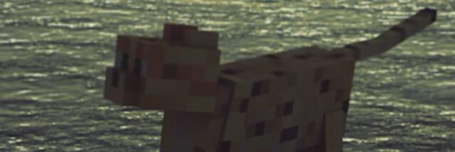 Charlie PuthVEVO banner
