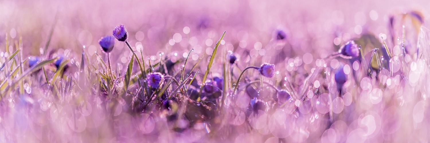 evt06112997's profile banner image