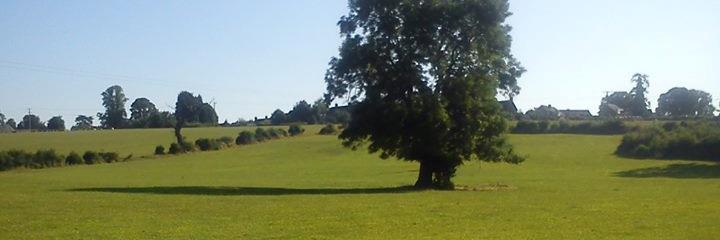 RadionicAss's profile banner image