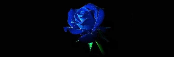 MDebi15's profile banner image
