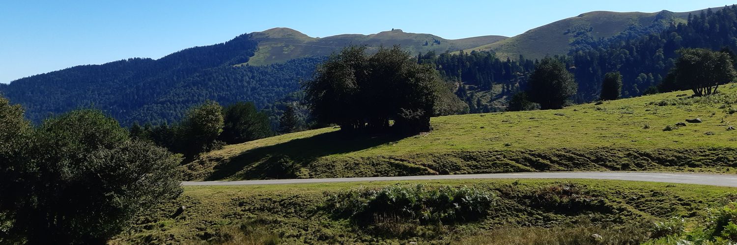 Pfizerisé n injections 🇺🇦 banner