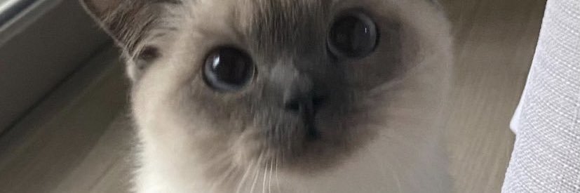 btbntbn's profile banner image