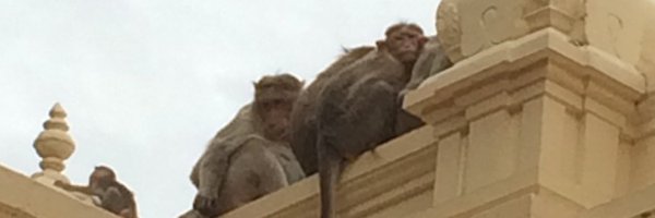 NealFAllen Profile Banner