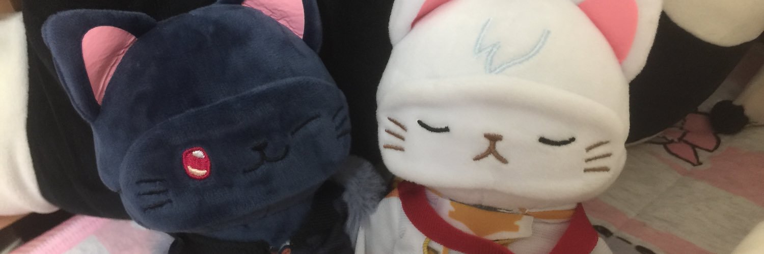 田中🦥's banner
