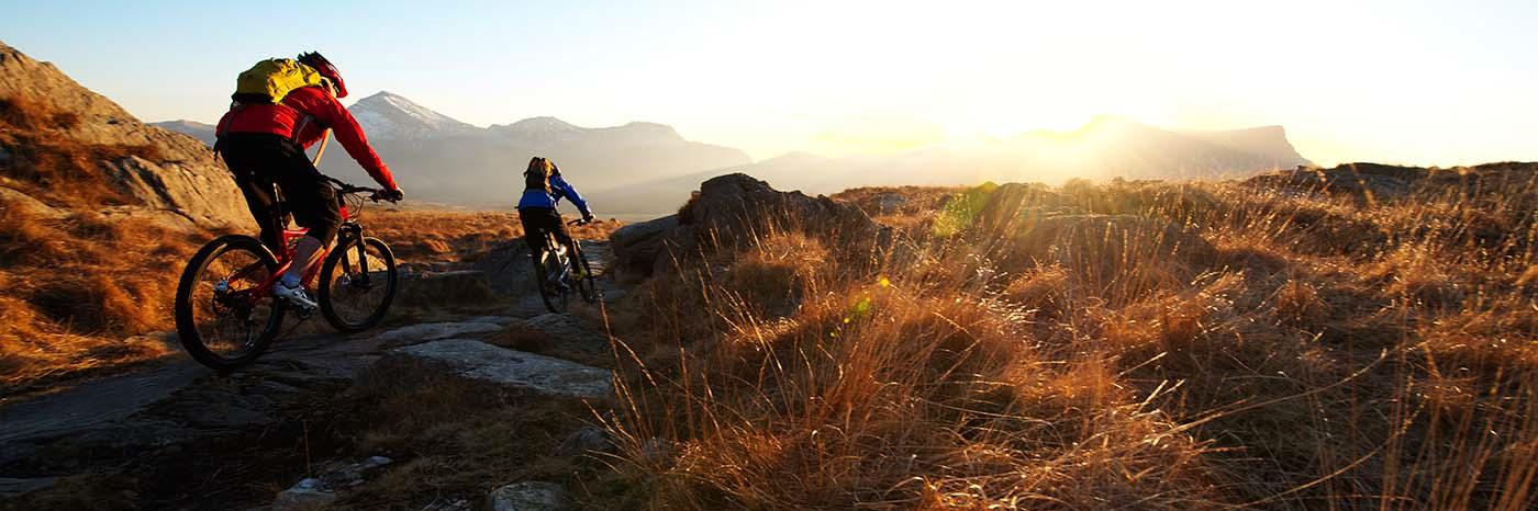 Seb Rogers banner