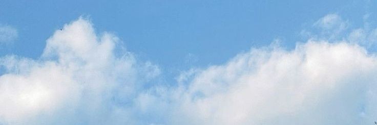 ☁Sky/Caly/Nox☁ banner