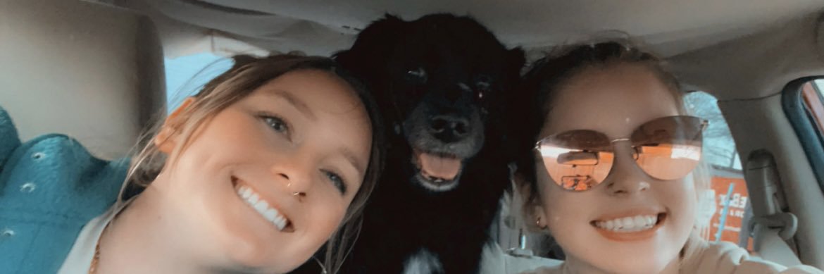 BrookeShelf_'s profile banner image