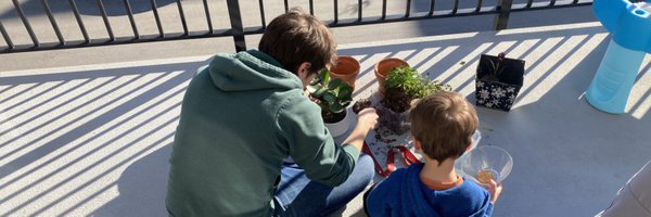 db_westerink Profile Banner