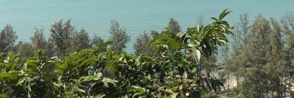 Bintu_123's profile banner image