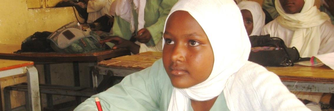 PlanSudan's profile banner image