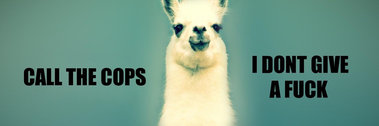 1Fronzilla's profile banner image