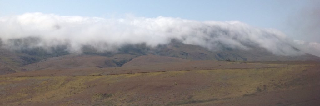 Me banner