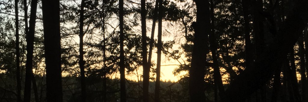 A Guy banner