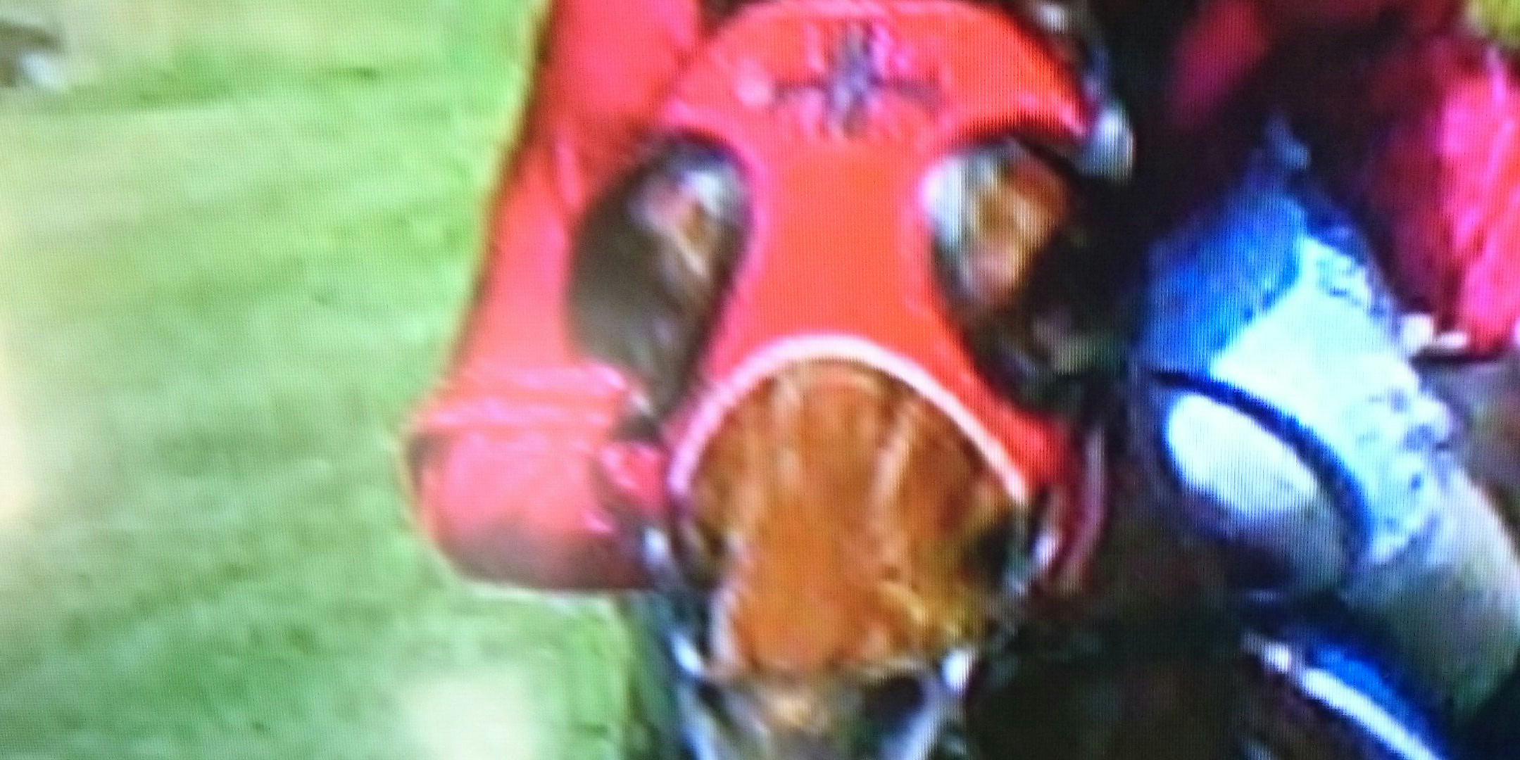 GoOsullivan's profile banner image