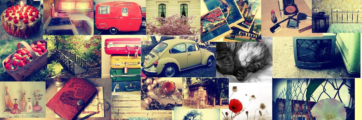 SandraHelenaGC's profile banner image