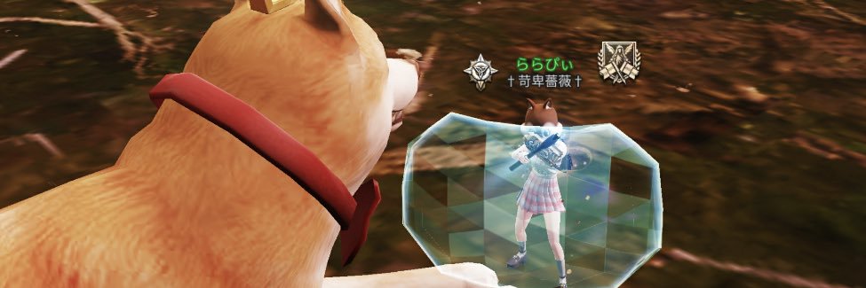 ucd_lara12's profile banner image