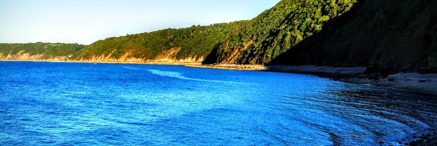 Brightsbideford's profile banner image