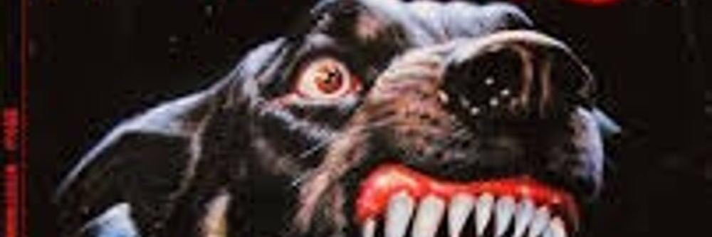 Ban__362's profile banner image