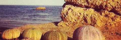 Joaquin García banner