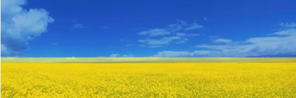 Frawa67's profile banner image