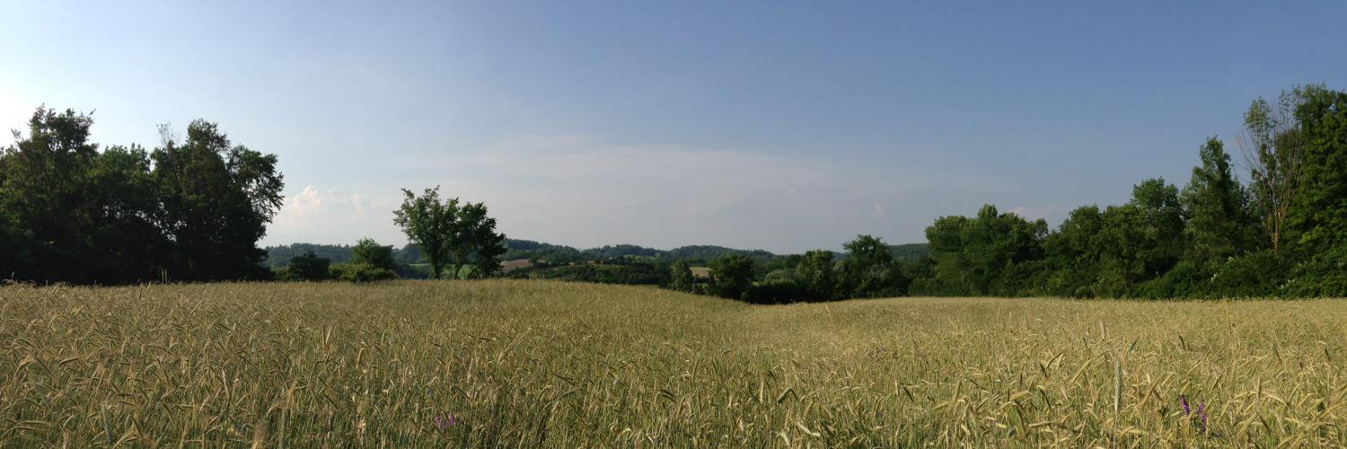 WhistlePigTX's profile banner image