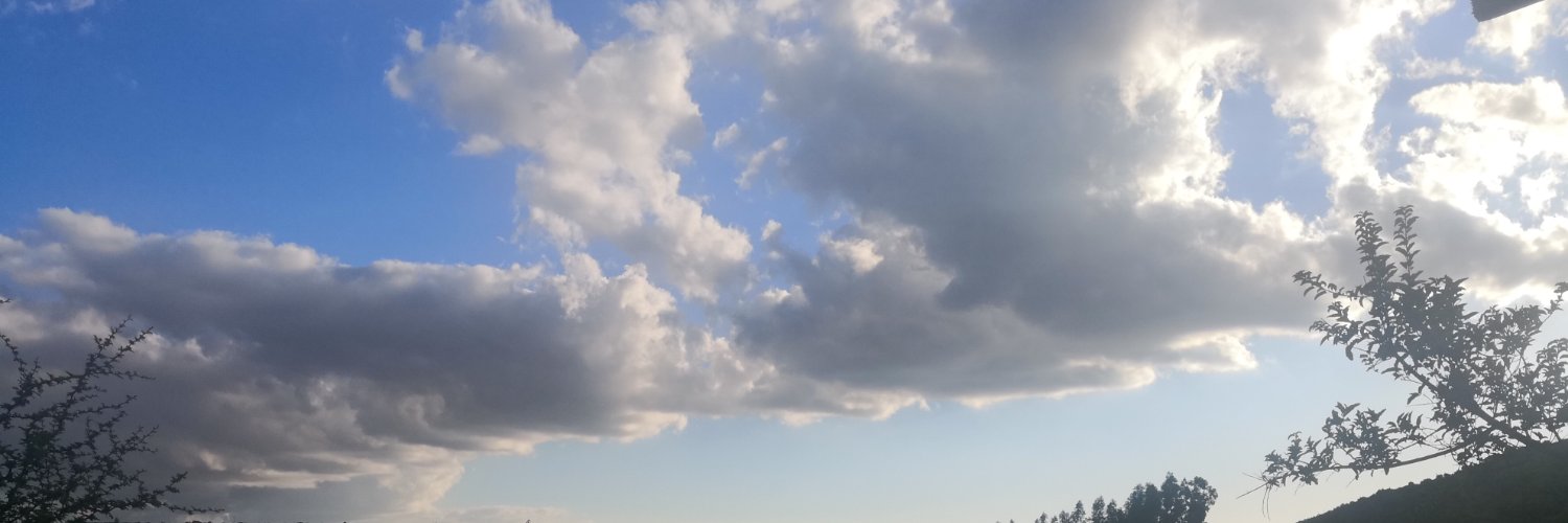ediaz80165003's profile banner image