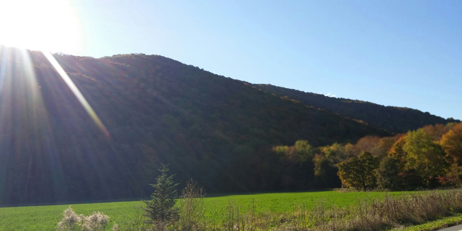 WhistlePigVT's profile banner image