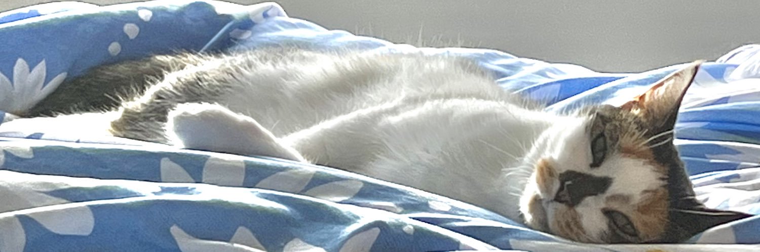 julianna ♡ banner