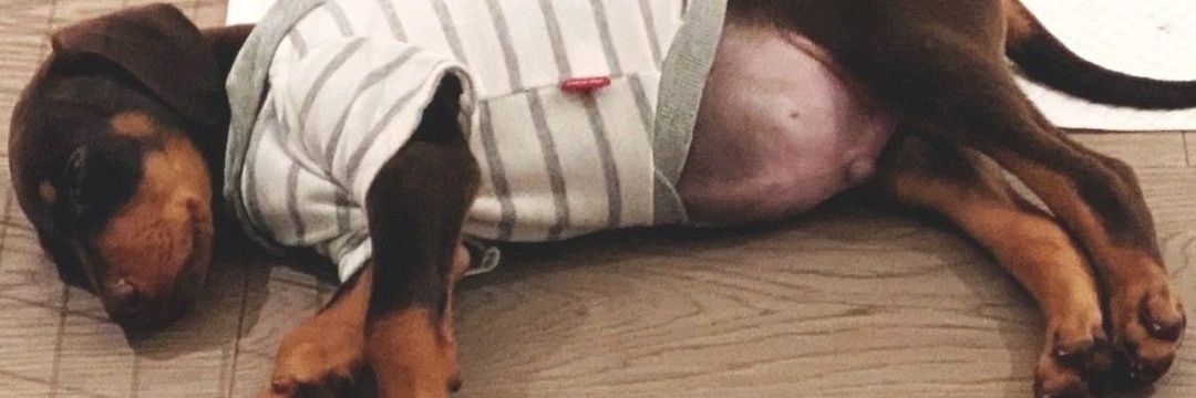 ONLYKOO97's profile banner image