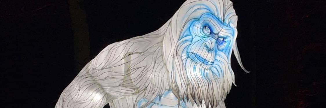 JordanMorris5's profile banner image