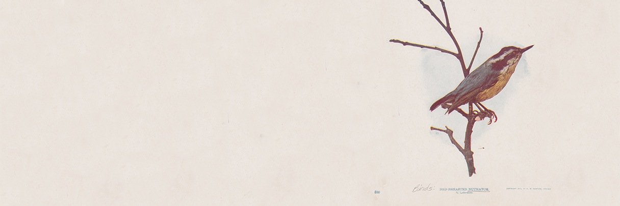 Tbird26's profile banner image