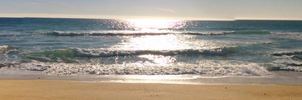 cysfib Profile Banner