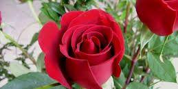 hneen670's profile banner image