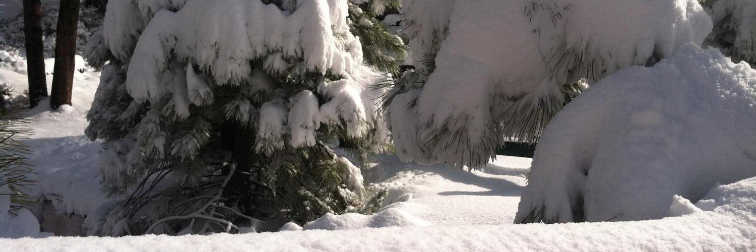 skigrl65's profile banner image