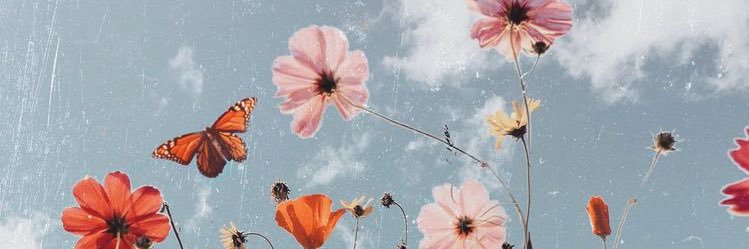 raeedell's profile banner image